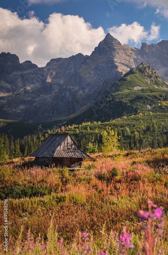 Beautiful summer landscape. Wooden hut in the Polish mountains.