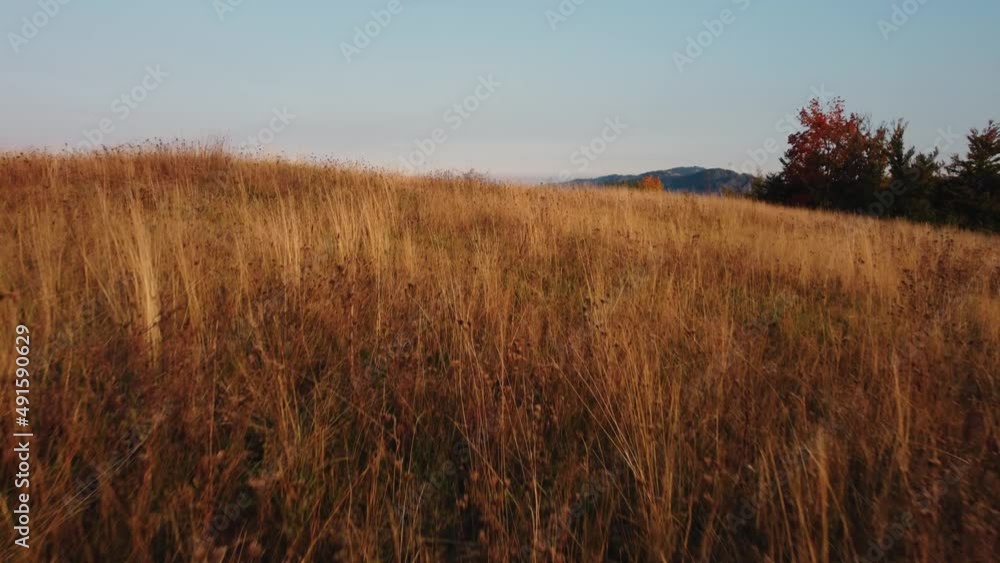 Aerial drone view of countryside hilly landscape.
Aerial drone view of countryside hilly landscape.