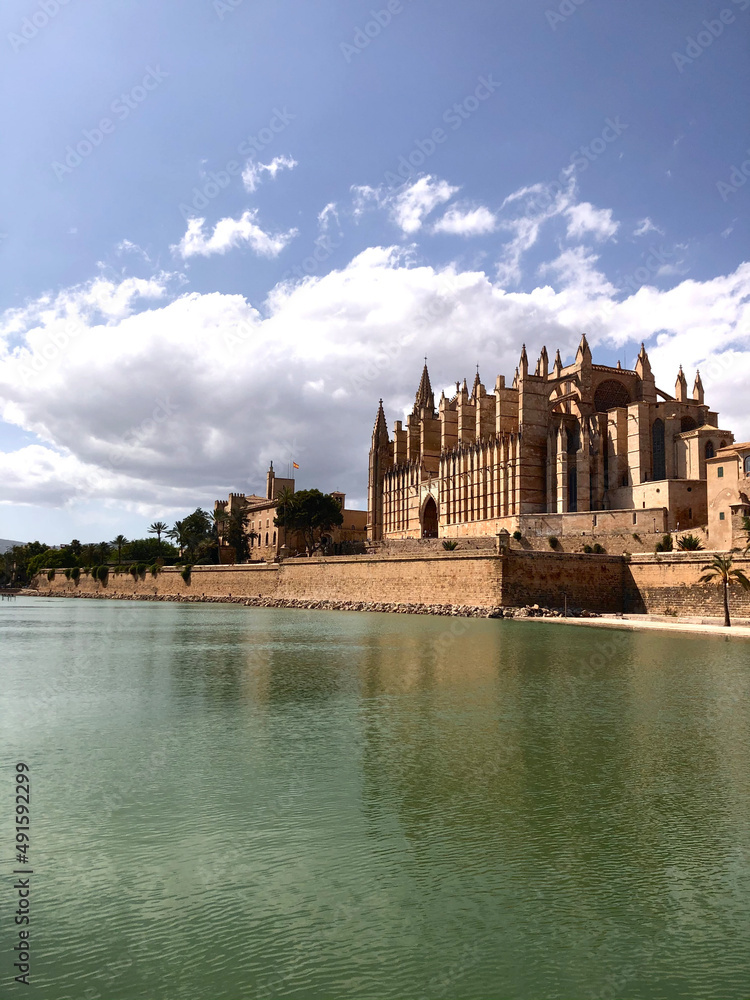 View of Catedral de Mallorca 