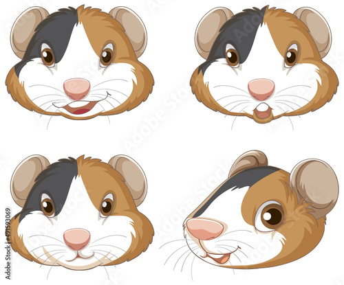A Cute guinea pig on white background