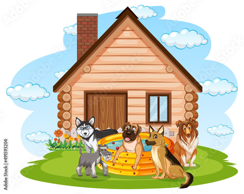 Five dogs playing in the pool at home