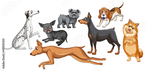 Set of different cute dogs in cartoon style