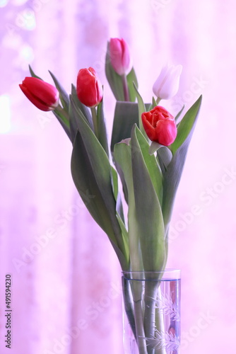 pink tulips in vase