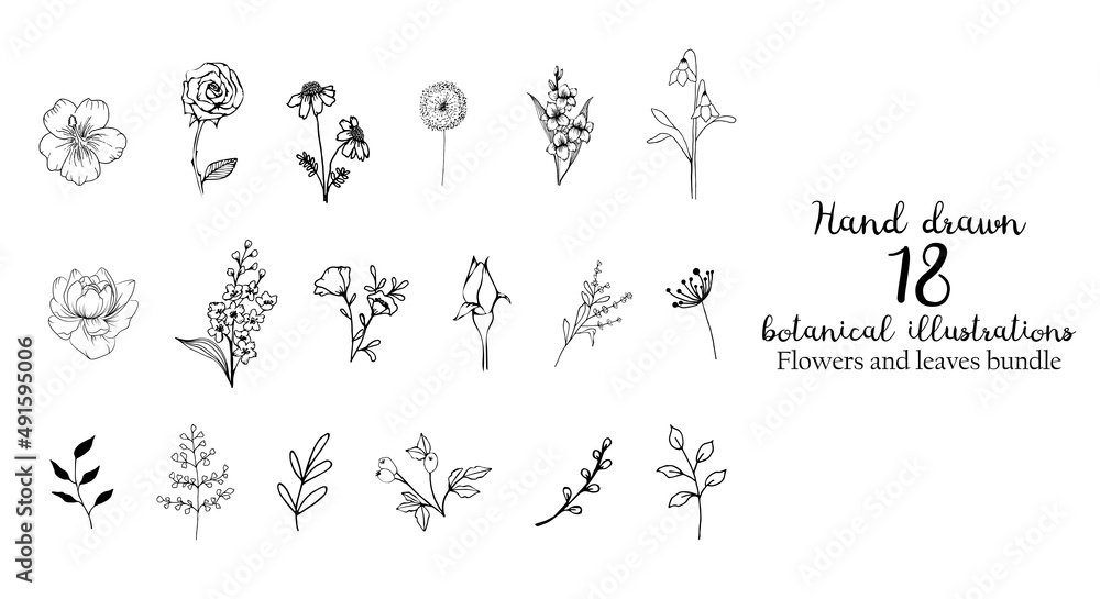 Hand drawn botanical flowers and leaves. Hand sketched vector vintage elements for wedding decorations, birthday,social media, clear stamp and more.