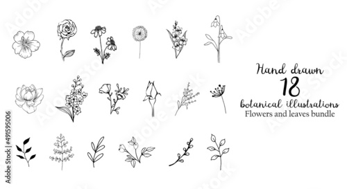 Hand drawn botanical flowers and leaves. Hand sketched vector vintage elements for wedding decorations, birthday,social media, clear stamp and more.