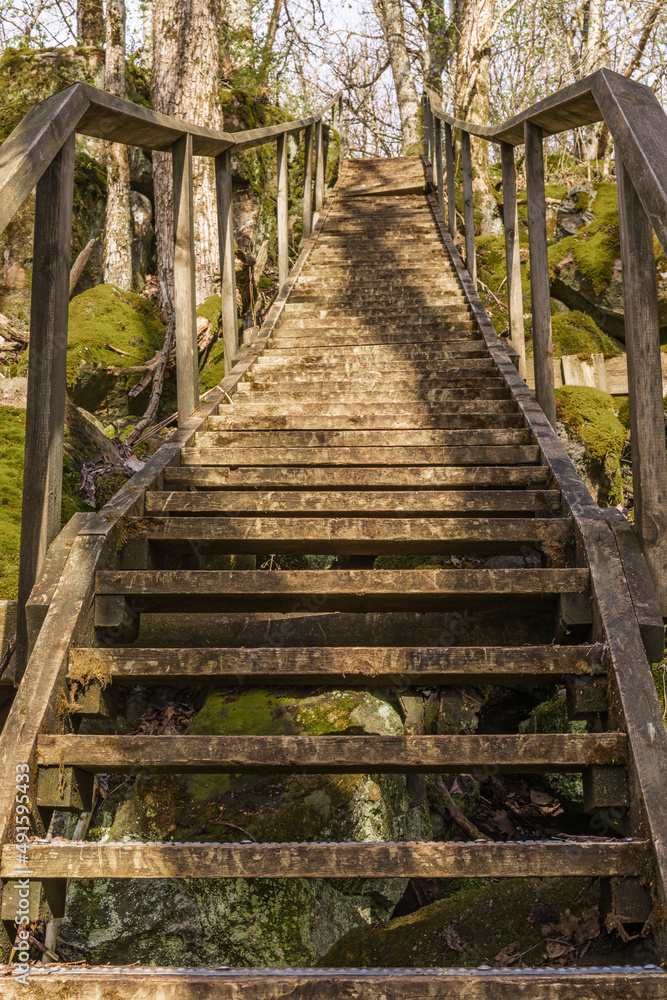 Wooden staircase on a footpath in the forest Wooden staircase on a footpath in the forest