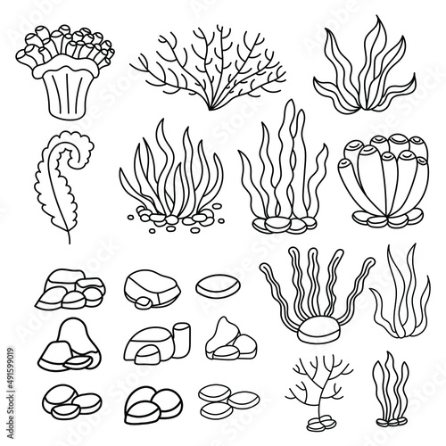 Seaweed set. Water grass. Freehand coloring book. Vector illustration isolated on white background