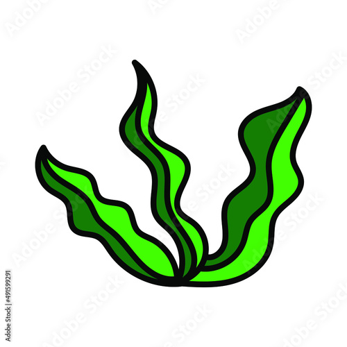 Seaweed set. Water grass. Freehand coloring book. Vector illustration isolated on white background
