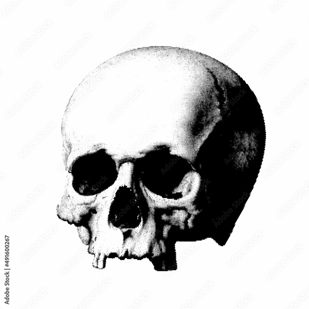 Obraz premium Human Skull. Vintage vector illustration. Halftone style.