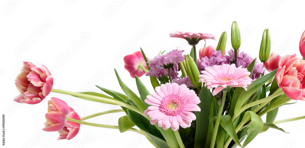 Composition with beautiful blooming Tulips and Barberton Daisy (Gerbera jamesonii) flowers on white background , pink colors Composition with beautiful blooming Tulips and Barberton Daisy (Gerbera jamesonii) flowers on white background , pink colors