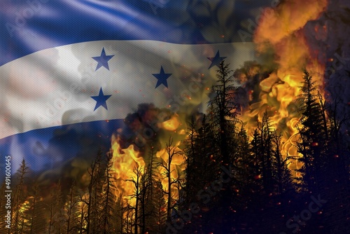 Forest fire natural disaster concept - infernal fire in the woods on Honduras flag background - 3D illustration of nature