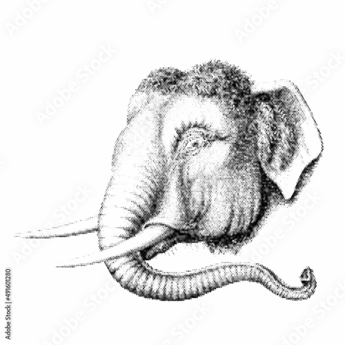 Elephant portrait. Halftone...