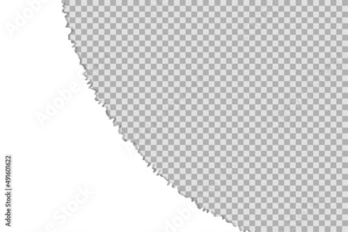 Ripped paper edge vector illustration. Texture of teared, torn photo, sheet or page. Collage of 2 images	