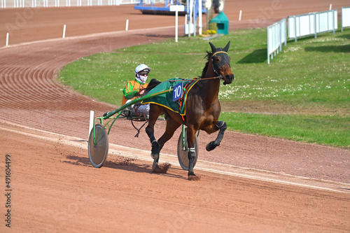 Bilde på lerret course de chevaux en trot attelé