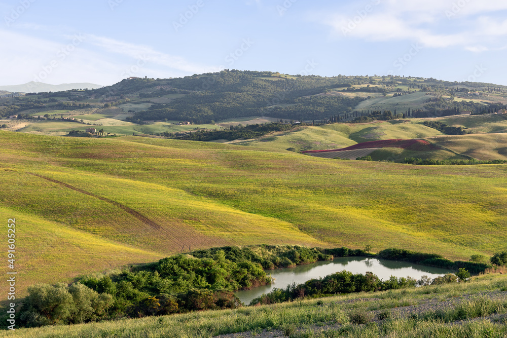 Very complex and intricate terrain of the Tuscan hills but so neatly cultivated and small pond in the foreground. Val d'Orcia, Italy