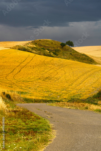 Country landscape in Basilicata, Italy, at summer