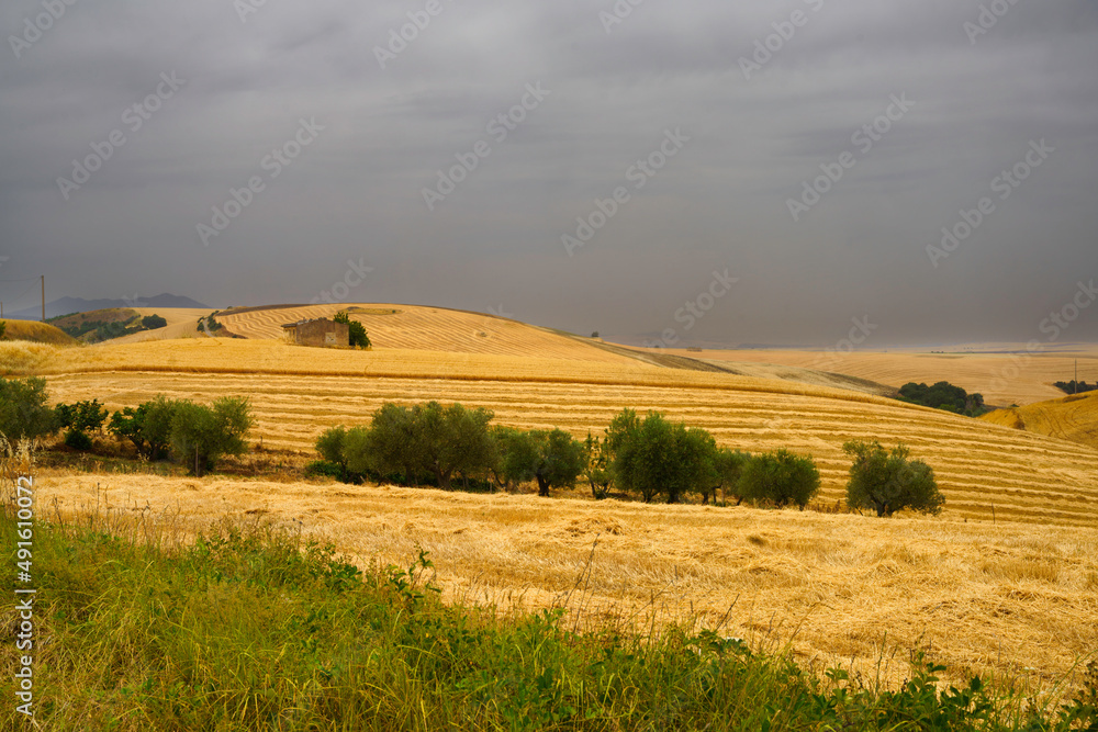 Obraz premium Country landscape in Basilicata, Italy, at summer