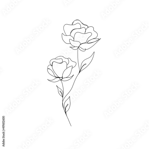 Rose flower continuous line drawing. One line art. minimalism sketch  idea for invitation  design of instagram stories and highlights icons