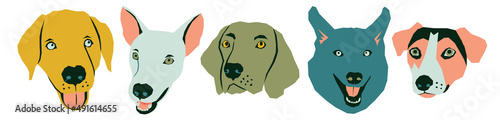 Vector funny muzzles of dogs in different colors