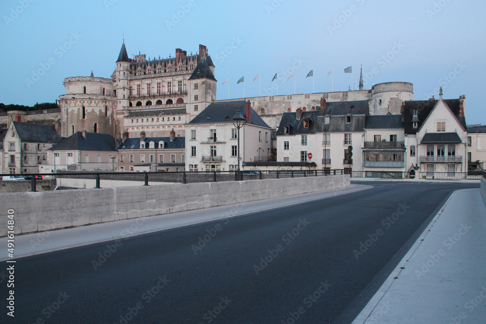 street and renaissance castle in amboise (france)