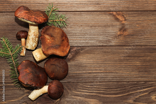 Forest mushrooms Boletus edulis and Boletus badius on a wooden background with space for text