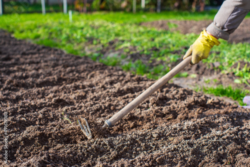 Preparing an agricultural field for planting seasonal vegetables and fruits in spring. Garden seasonal work concept