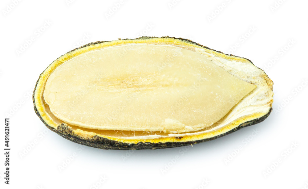 watermelon seed isolated on white background watermelon seed isolated on white background