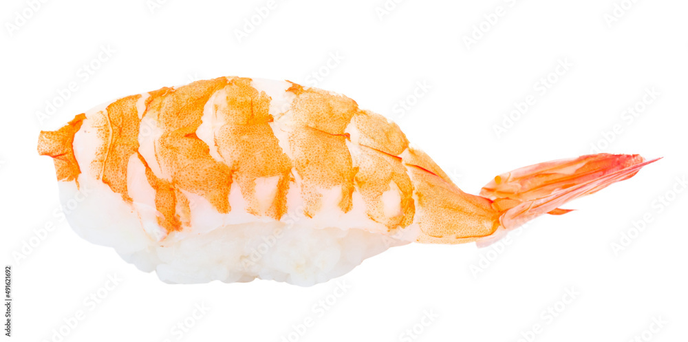 sushi with salmon, avocado, tuna and cucumber isolated on white background sushi with salmon, avocado, tuna and cucumber isolated on white background