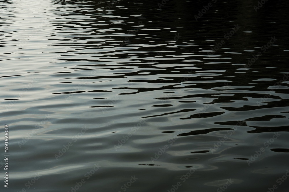 ripples in the water