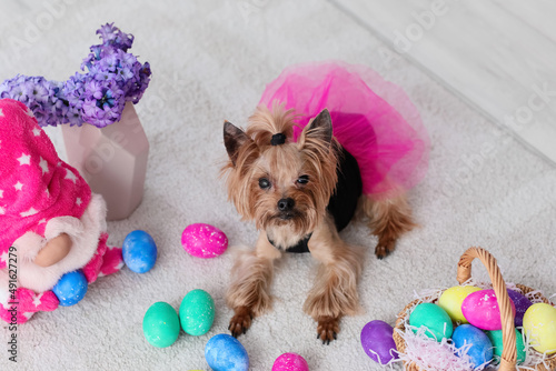 Cute small dog with Easter ...