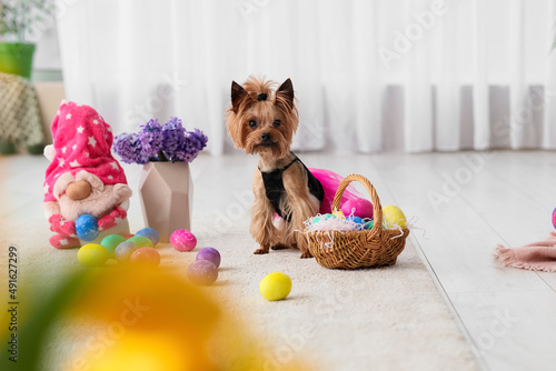 Cute small dog with Easter ...