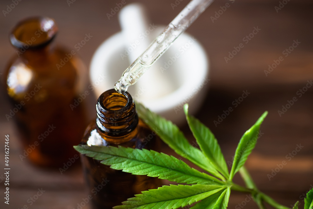 Macro close up of droplet dosing a biological and ecological hemp . bottles CBD Oil in beauty salon. Fresh hemp leaves grown on plantation concept of extracting cannabis leaves Macro close up of droplet dosing a biological and ecological hemp . bottles CBD Oil in beauty salon. Fresh hemp leaves grown on plantation concept of extracting cannabis leaves