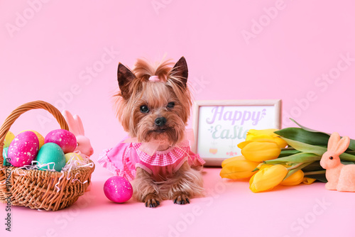 Cute small dog, Easter bask...