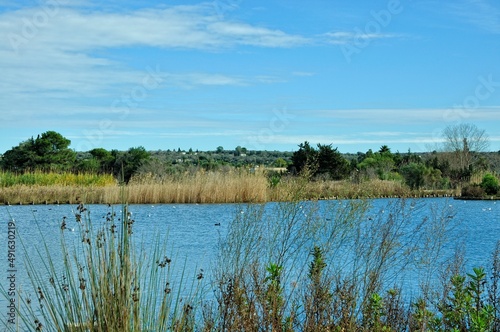 Naturpark Ugento