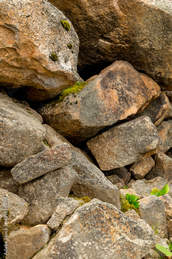 Basalt mountain rocks with moss and badan growing on them.