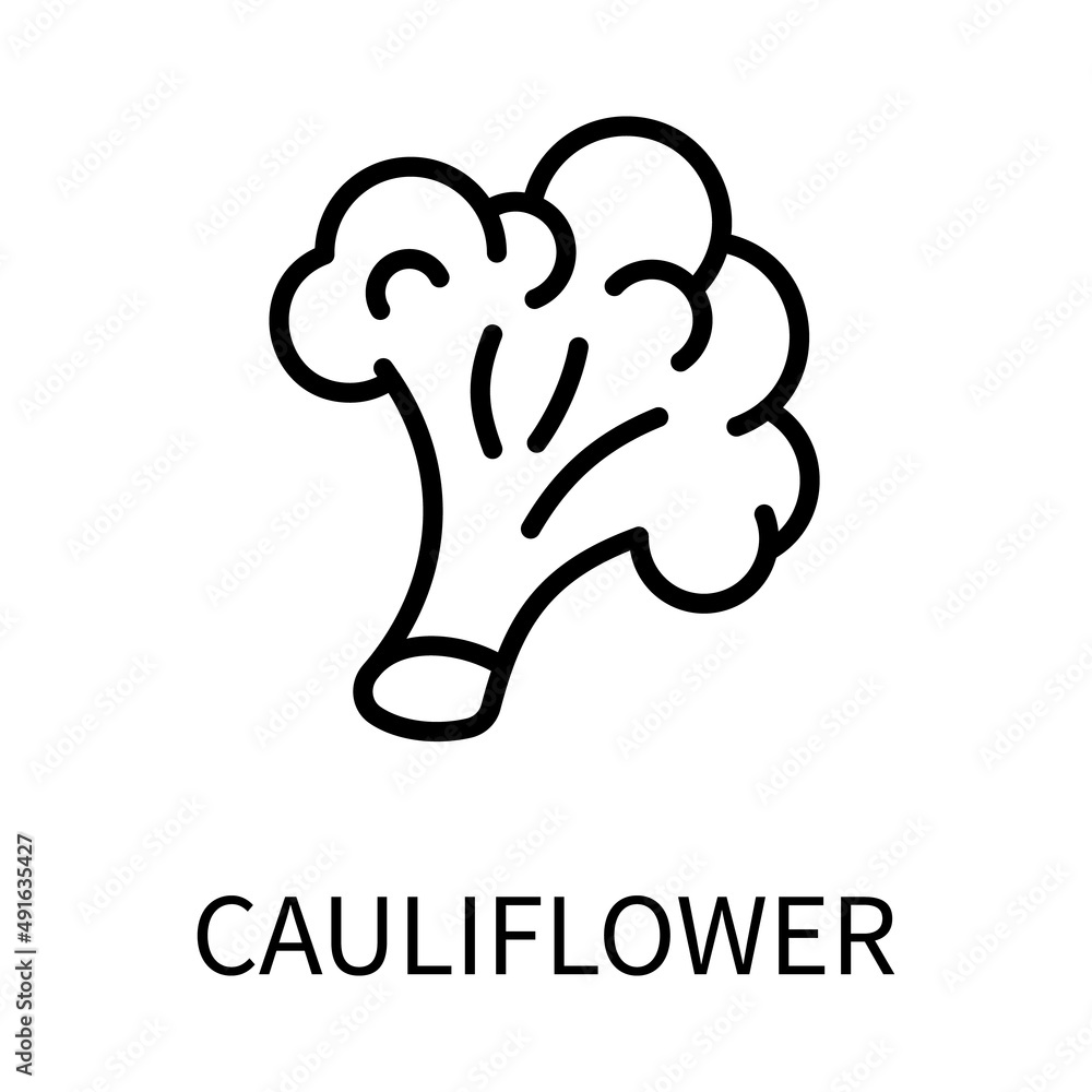 Line Icon Cauliflower In Simple Style. Vector sign in a simple style isolated on a white background. Original size 64x64 pixels. Line Icon Cauliflower In Simple Style. Vector sign in a simple style isolated on a white background. Original size 64x64 pixels.
