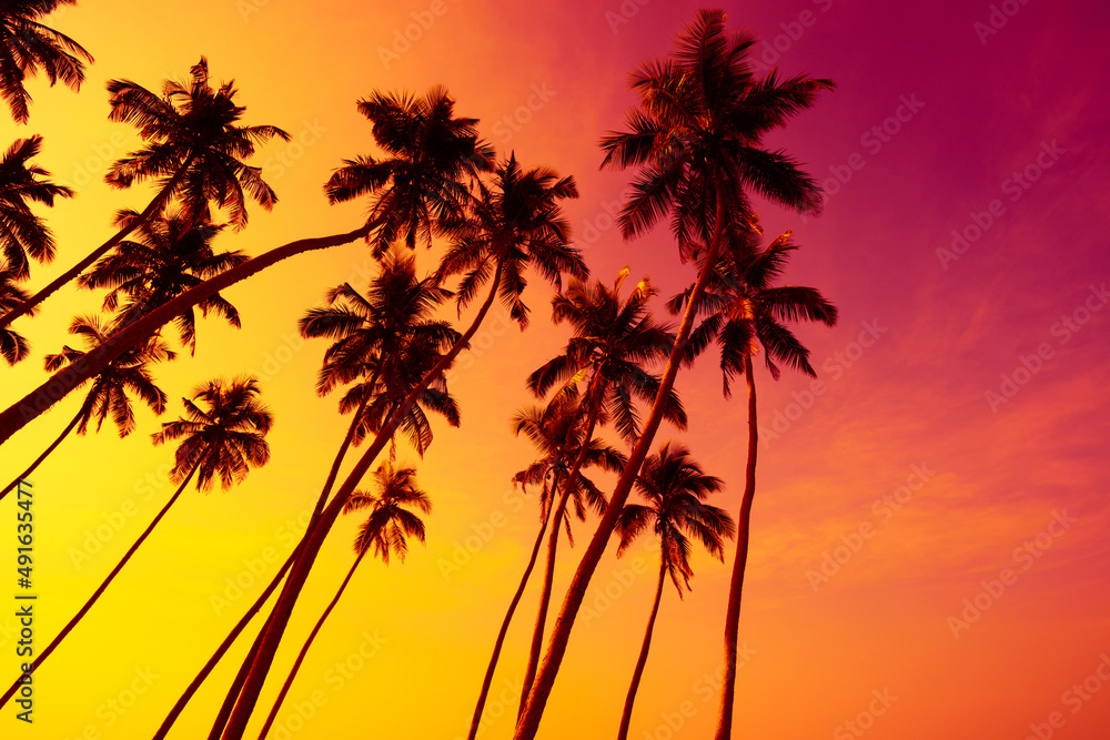 Coconut palm trees silhouettes on tropical beach at sunset