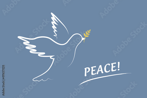 white peace dove on blue background stop war