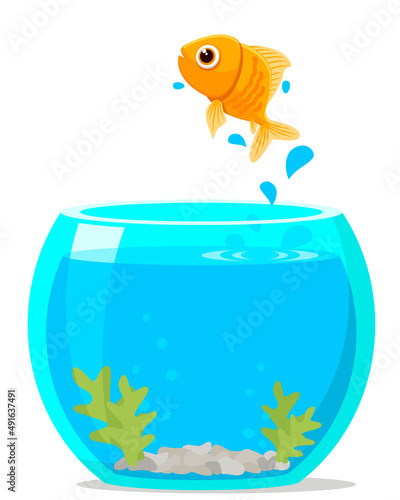 Goldfish jumped out of the aquarium on a white background.