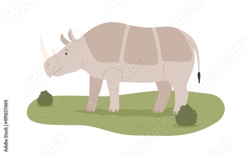 Wild African rhino. Tropical savanna animal standing on grass. Jungle habitan...