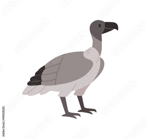 Griffon vulture, wild carnivorous bird. Gray-feathered griffin. African savanna gyps. Savannah inhabitant. Flat vector illustration isolated on white background