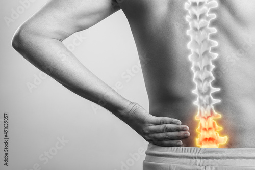 Konstfotografi cgi 3d spinal cord anatomy signifying lower back injury pain