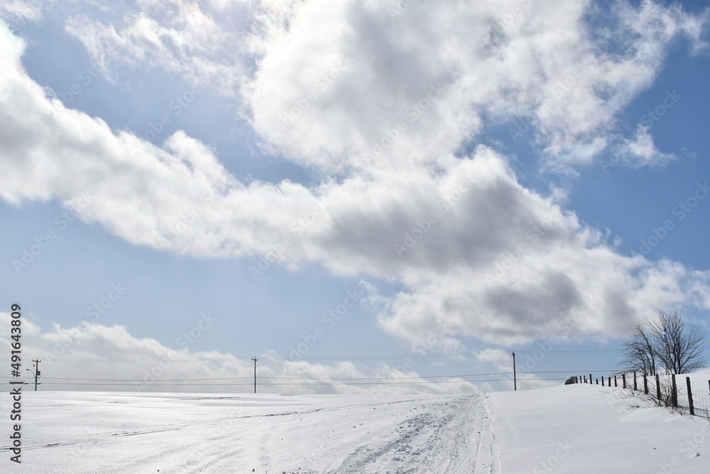 A snowmobile trail under a cloudy sky, Sainte-Apolline, Québec, Canada