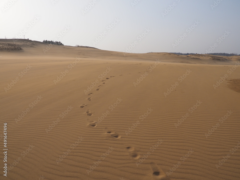 砂丘の遠くに続く一人の足跡