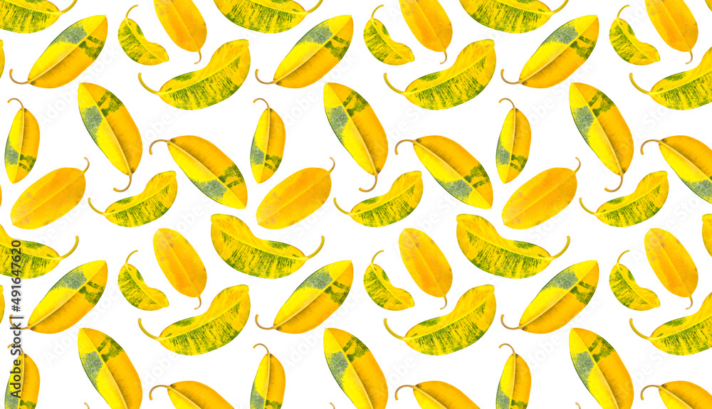 Fototapeta premium Seamless pattern with yellow leaves on a white background.