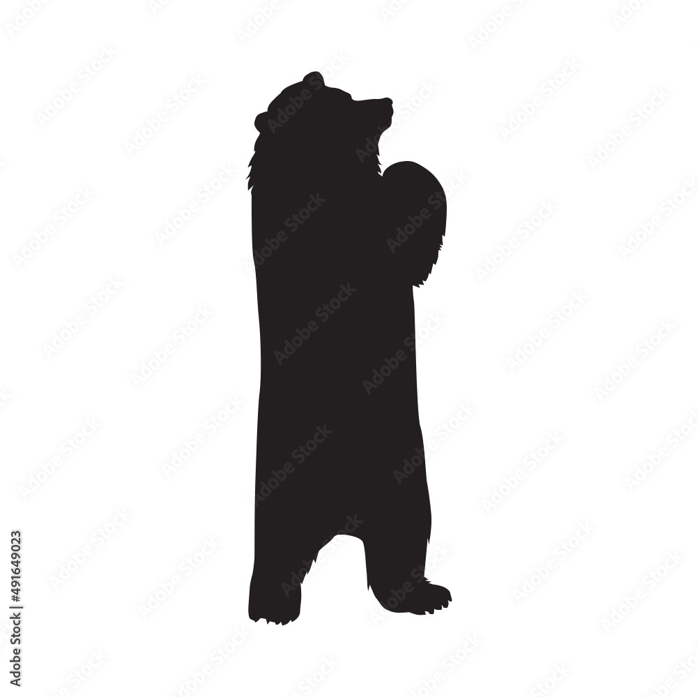 silhouette of bear