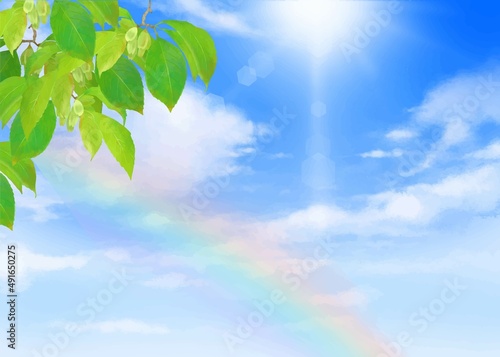 太陽の光差し込む空、雲のある虹のかかった植物のある青空の美しい初夏フレームシンプルな背景素材
