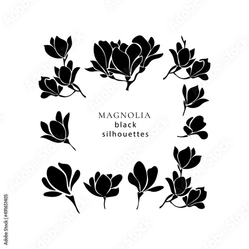 Set with black silhouettes of blooming magnolia twigs.