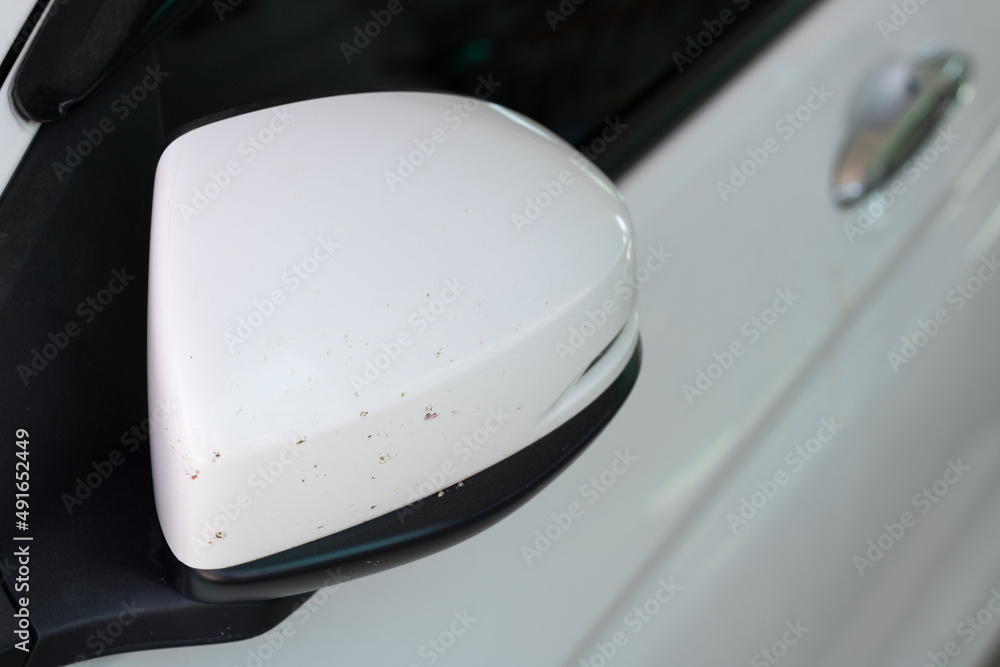 Damage car colour at wing mirror from blood insect when driving at night time.. Damage car colour at wing mirror from blood insect when driving at night time..