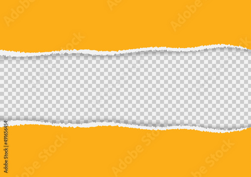 Ripped squared horizontal paper strips for text or message. Torn paper edge. Vector illustration.